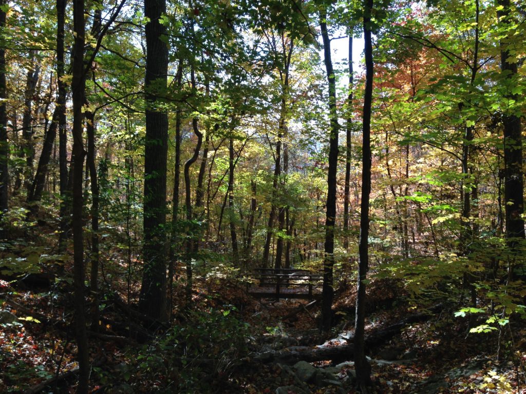 Monte Sano Nature Preserve