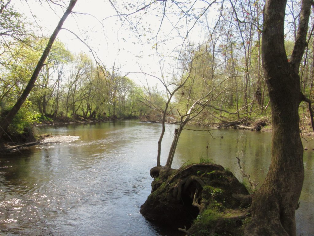 Bloucher Ford Nature Preserve (conservation property)